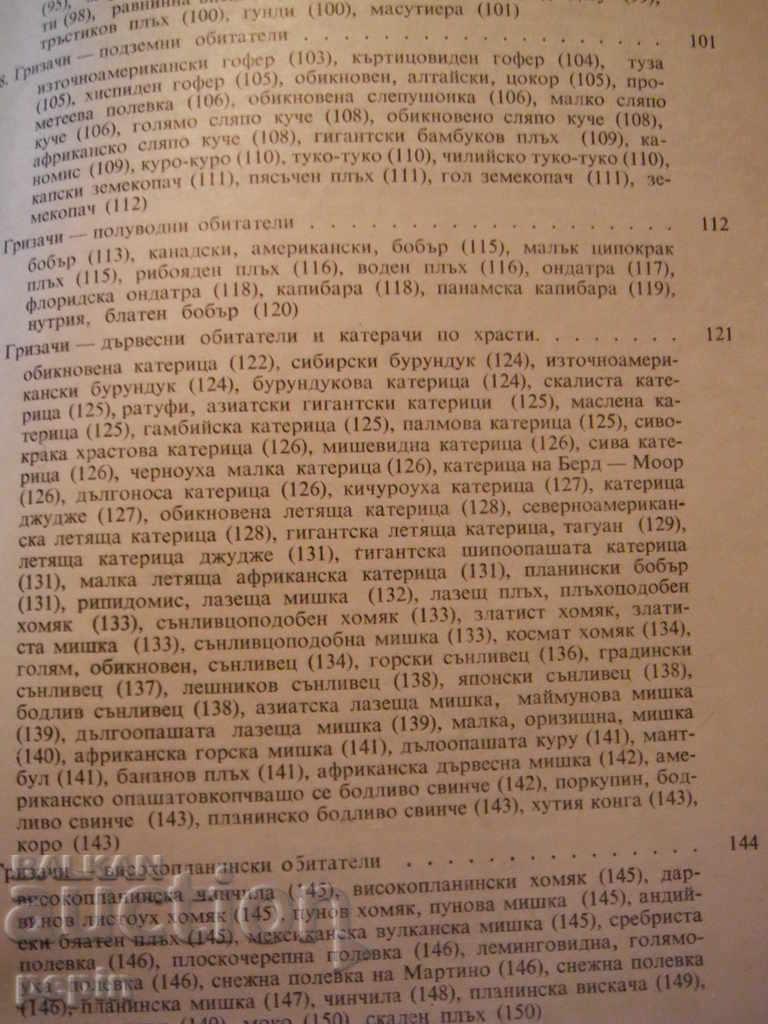 Rodents - 6 Rodents - 6