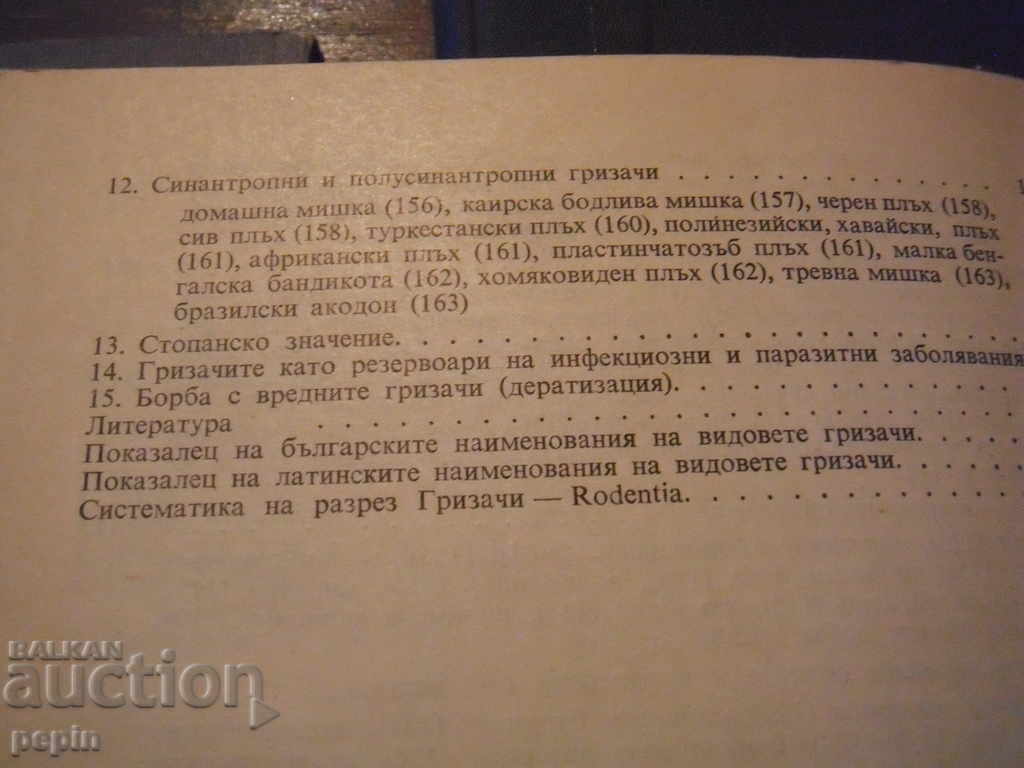 Rodents - 7 Rodents - 7