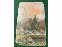 Картичка Швейцария 1906