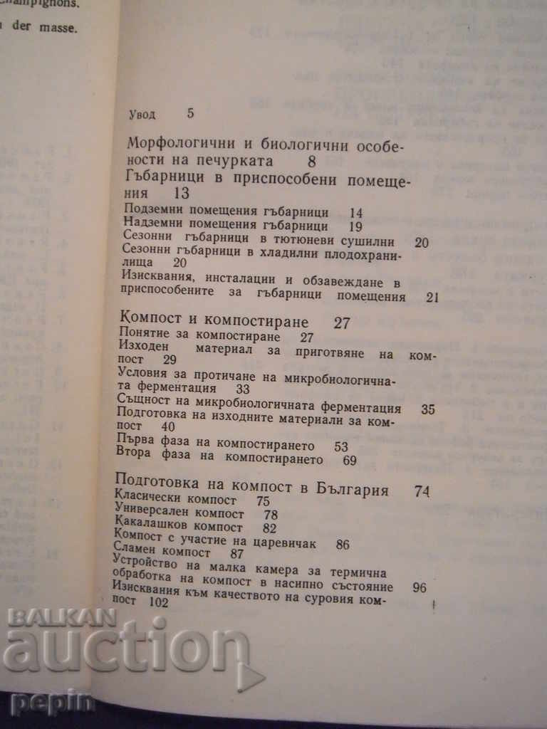 Auction  Intensive production of mushrooms