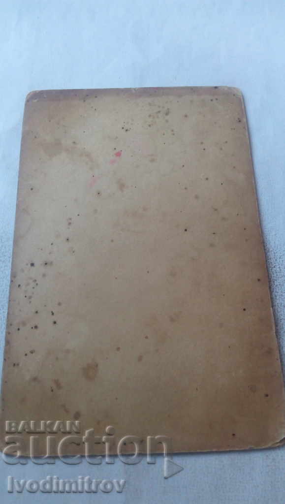 Auction Photo Female Cardboard Auction Photo Female Cardboard