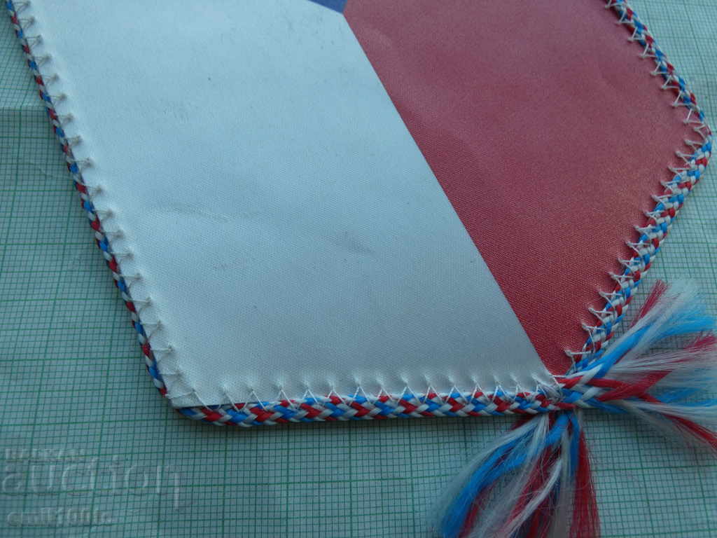 Delivery of Flag football match Czech Republic Bulgaria Euro 2020 qualification Delivery of Flag football match Czech Republic Bulgaria Euro 2020 qualification