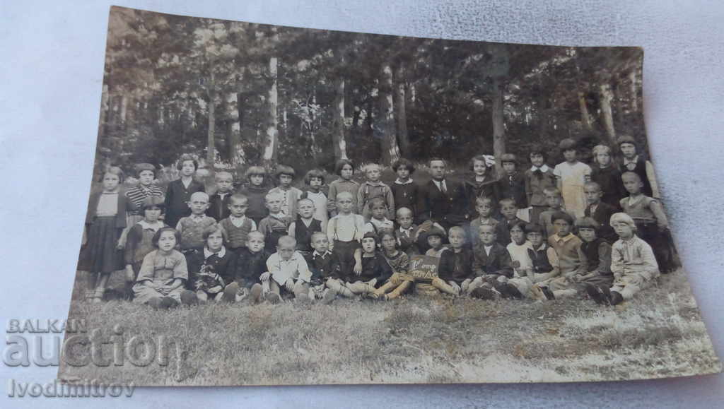 Φωτογραφία Σοφία Μαθητές από την πρώτη τάξη στο δάσος