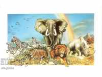 Postcard - Fauna - African animals