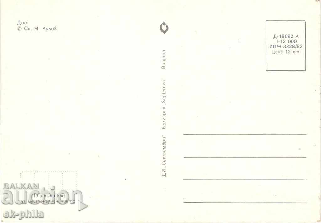 Postcard - Dogs - Dog with price 0.80 BGN | € 0.41 Postcard - Dogs - Dog with price 0.80 BGN | € 0.41