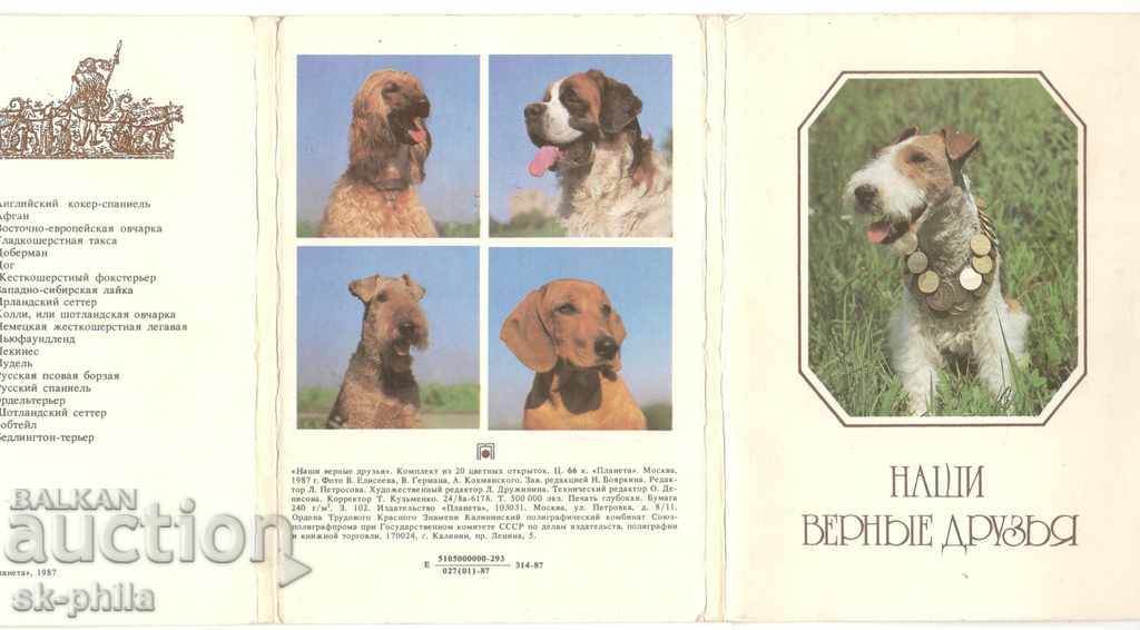 Carte poștală - Câini - Prieteni fideli - set 20 buc