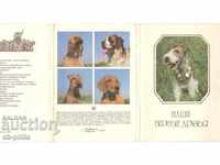 Пощенска картичка - Кучета - Верни приятели - комплект 20 бр