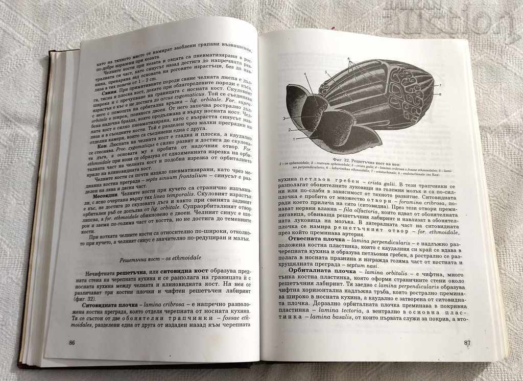 Auction ANATOMY OF DOMESTIC ANIMALS VOLUME 1 KOVACHEV GIGOV 1995 Auction ANATOMY OF DOMESTIC ANIMALS VOLUME 1 KOVACHEV GIGOV 1995