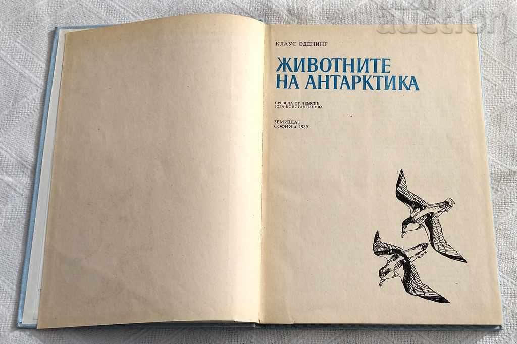Antarctic Animals KLAUS ODENING 1989 με τιμή 5.00 BGN | € 2.56 Antarctic Animals KLAUS ODENING 1989 με τιμή 5.00 BGN | € 2.56