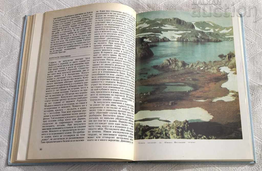 Antarctic Animals KLAUS ODENING 1989 - 5 Antarctic Animals KLAUS ODENING 1989 - 5