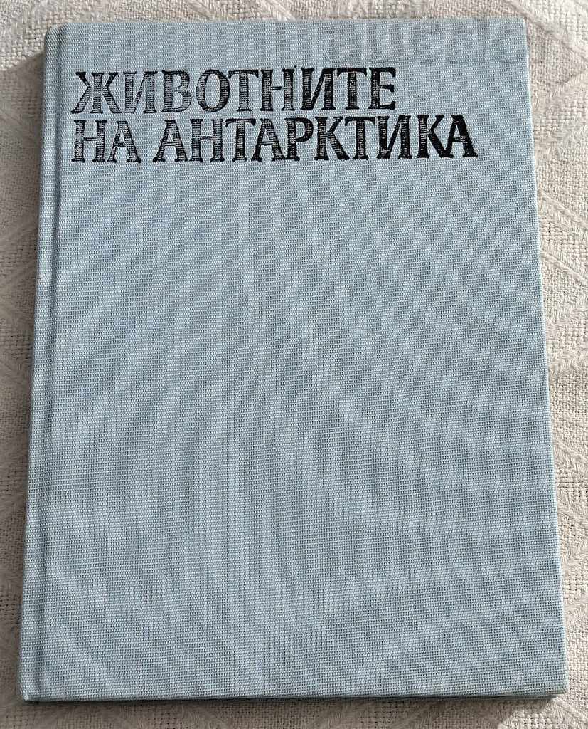 Antarctic Animals KLAUS ODENING 1989 Antarctic Animals KLAUS ODENING 1989