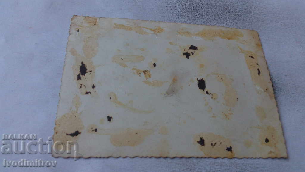 Photo Two families with price 1.65 BGN | € 0.84 Photo Two families with price 1.65 BGN | € 0.84