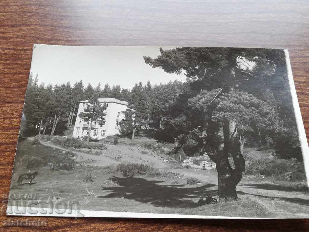 Old photo . Chamkoria with price 5.00 BGN | € 2.56 Old photo . Chamkoria with price 5.00 BGN | € 2.56