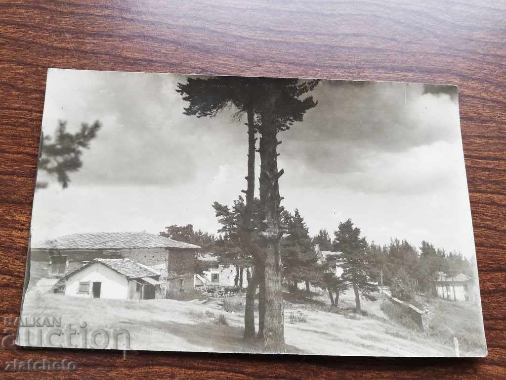 Old photo . Chamkoria with price 5.00 BGN | € 2.56