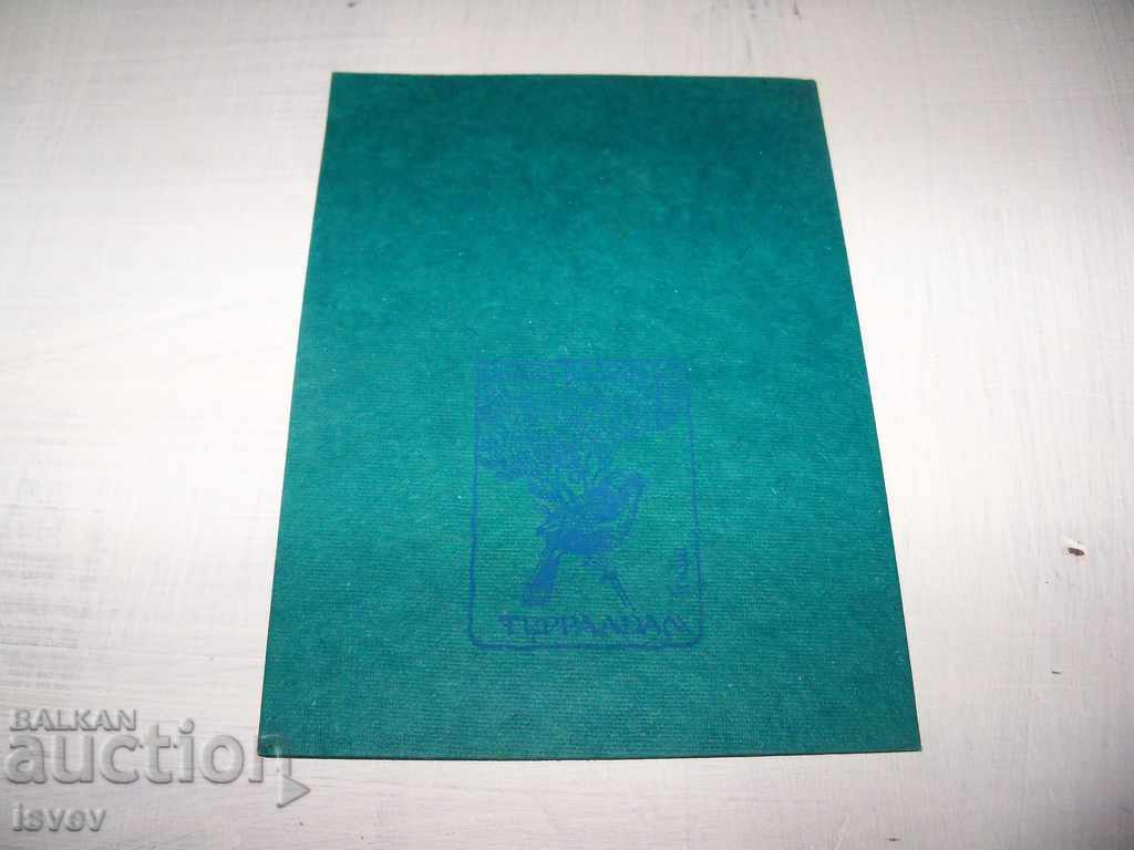 Κάρτα ζωγραφισμένη στο χέρι σε ένα φύλλο του δέντρου Bodhi, Ινδία8 - 5 Κάρτα ζωγραφισμένη στο χέρι σε ένα φύλλο του δέντρου Bodhi, Ινδία8 - 5