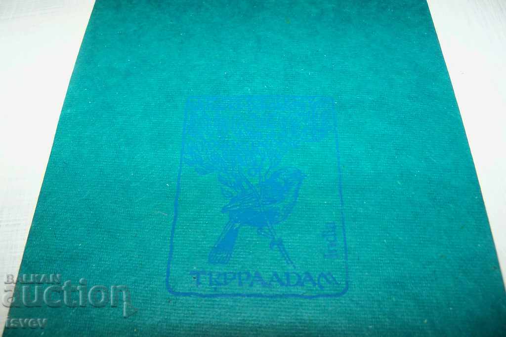 Κάρτα ζωγραφισμένη στο χέρι σε ένα φύλλο του δέντρου Bodhi, Ινδία8 - 6 Κάρτα ζωγραφισμένη στο χέρι σε ένα φύλλο του δέντρου Bodhi, Ινδία8 - 6