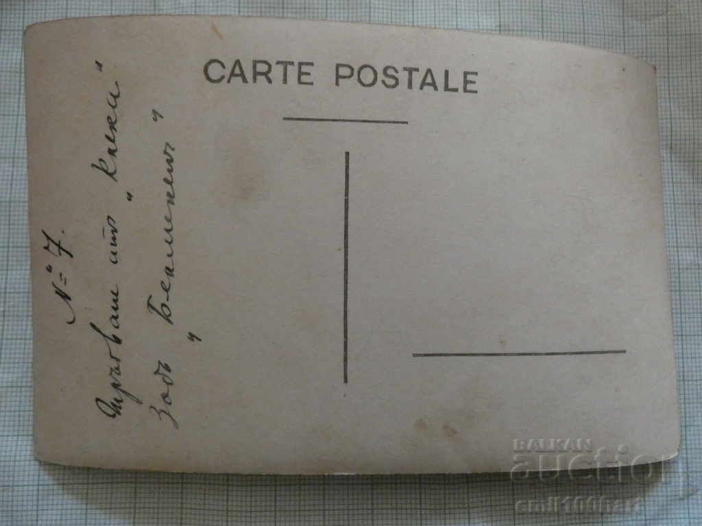 Παλιά φωτογραφία Στρατός με τιμή 5.00 BGN | € 2.56