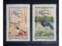 România 1999 Europa CEPT Faună / Animale / Păsări MNH