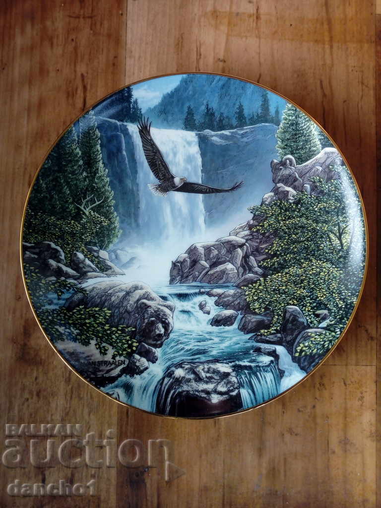 Porcelain plate