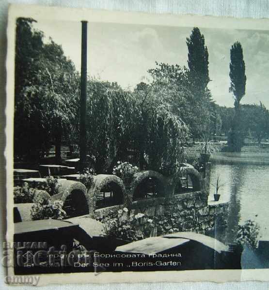 Old postcard photo Sofia-Lake in Boris's Garden with price 10.00 BGN | € 5.11 Old postcard photo Sofia-Lake in Boris's Garden with price 10.00 BGN | € 5.11