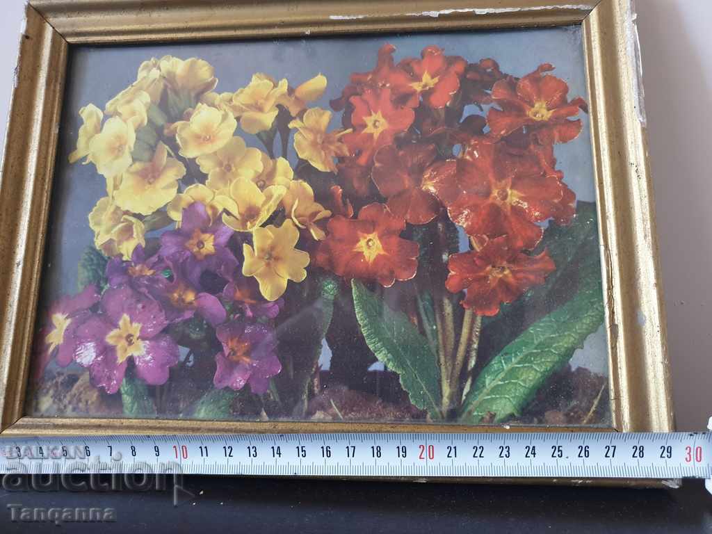 Picture for decoration with price 7.00 BGN | € 3.58 Picture for decoration with price 7.00 BGN | € 3.58