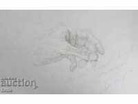 ΣΧΕΔΙΟ - BG ΣΥΓΓΡΑΦΕΑΣ, ΥΠΟΓΡΑΦΗ