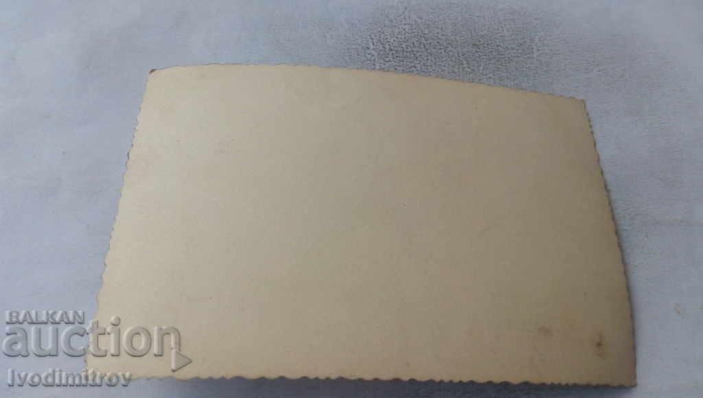 Fotografie proaspăt căsătoriți cu preț € 0.84 | 1.64 BGN