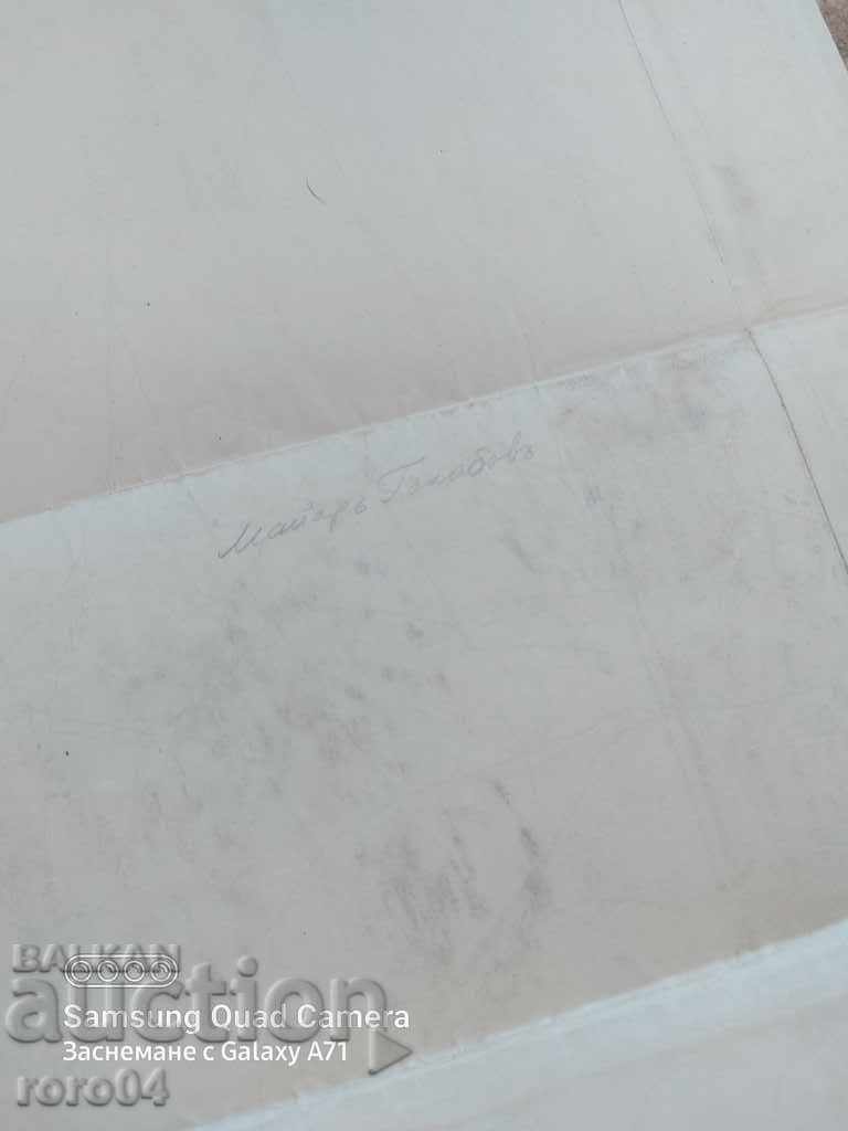 MILITARY MAP - RAHOVO - 1924 - 7 MILITARY MAP - RAHOVO - 1924 - 7