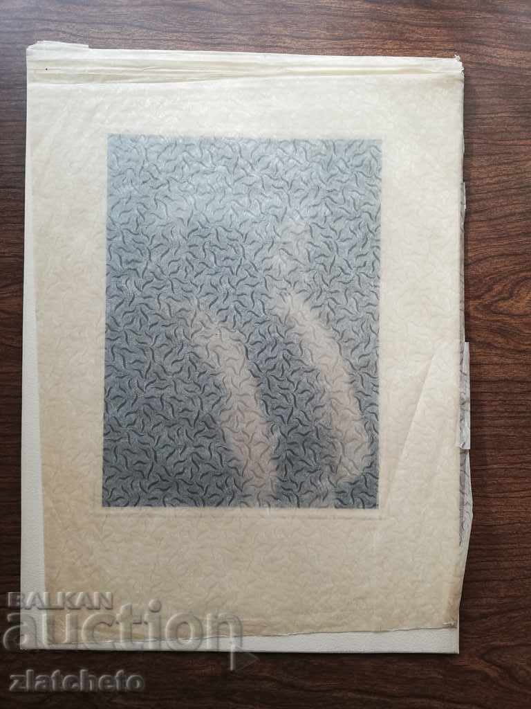 Delivery of Old cardboard photo - Queen Joanna Delivery of Old cardboard photo - Queen Joanna