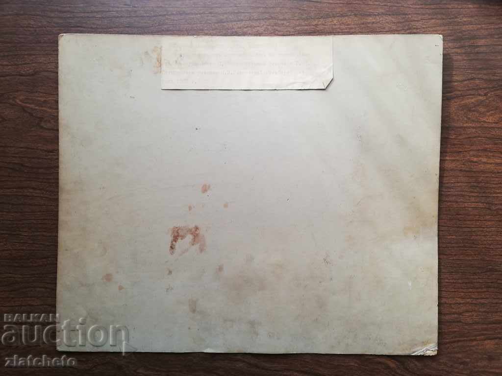 Old cardboard photo - Unique! - 6 Old cardboard photo - Unique! - 6