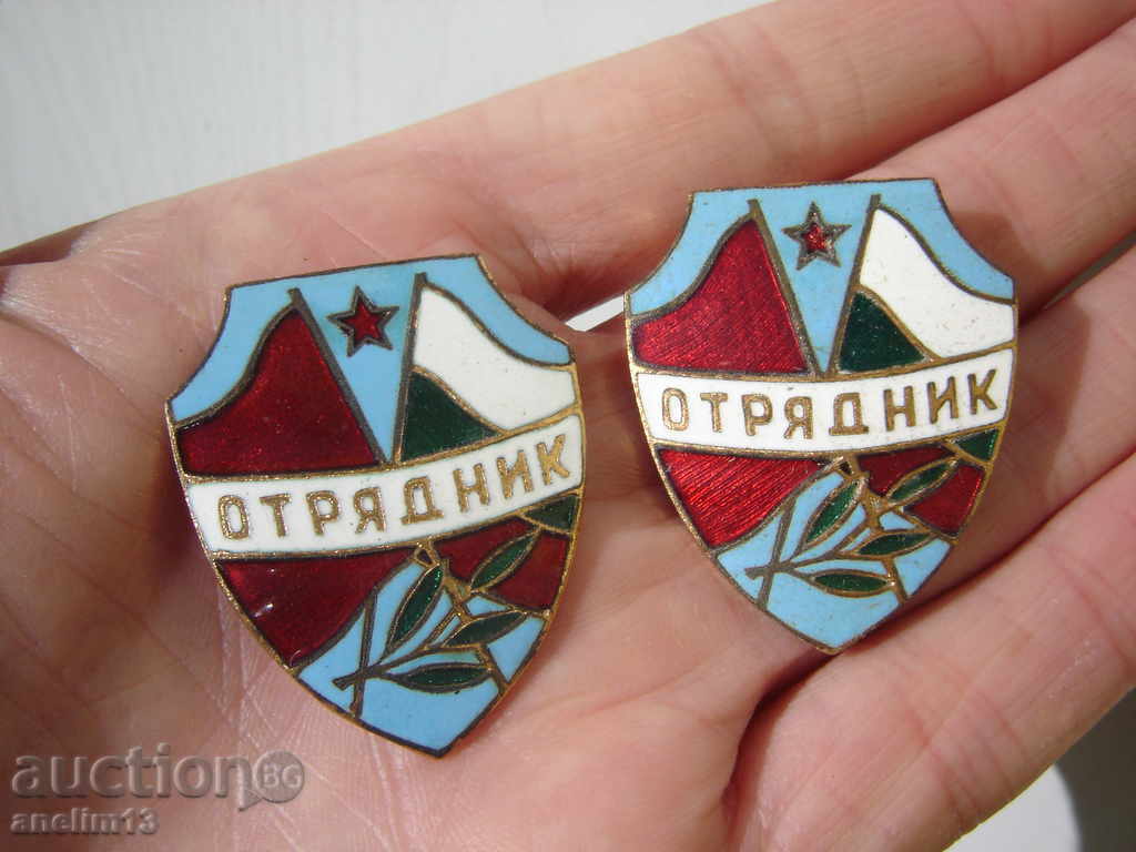 ЛОТ ЗНАЧКИ ОТРЯДНИК БРОНЗ ЕМАЙЛ