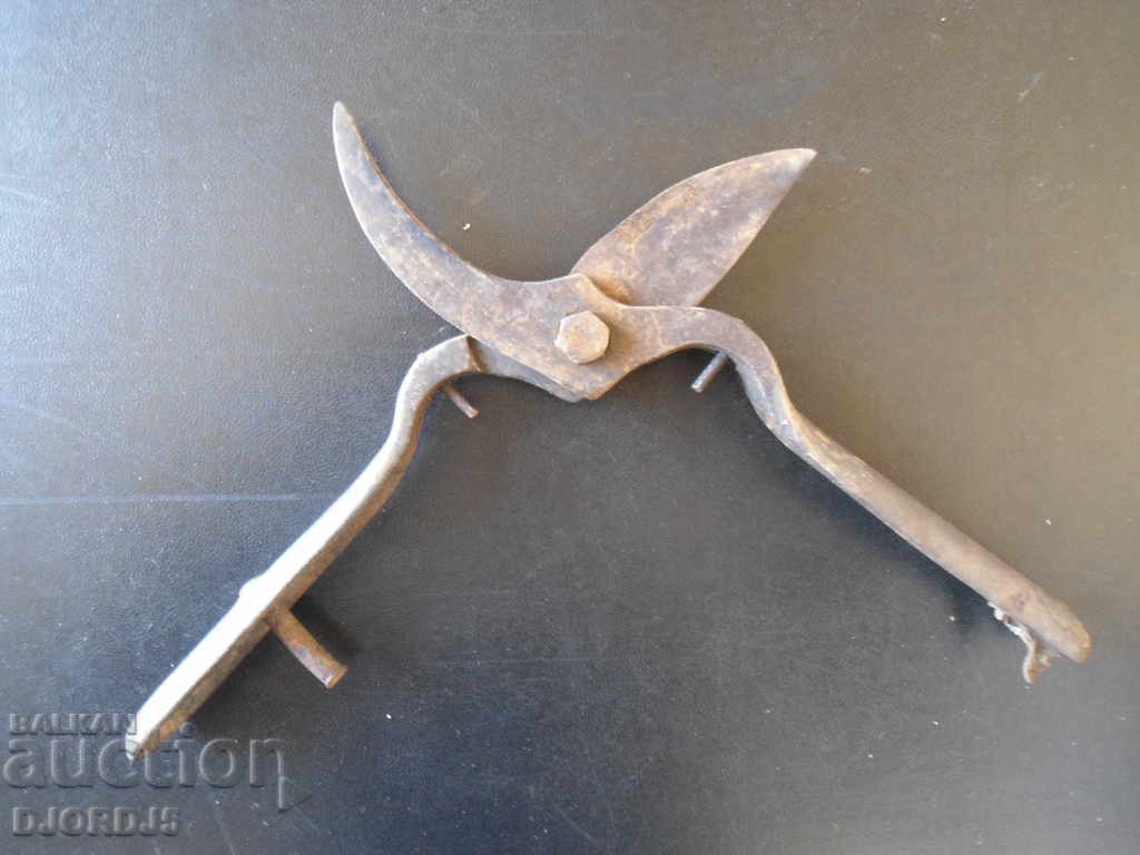 Auction  Old viticulture scissors