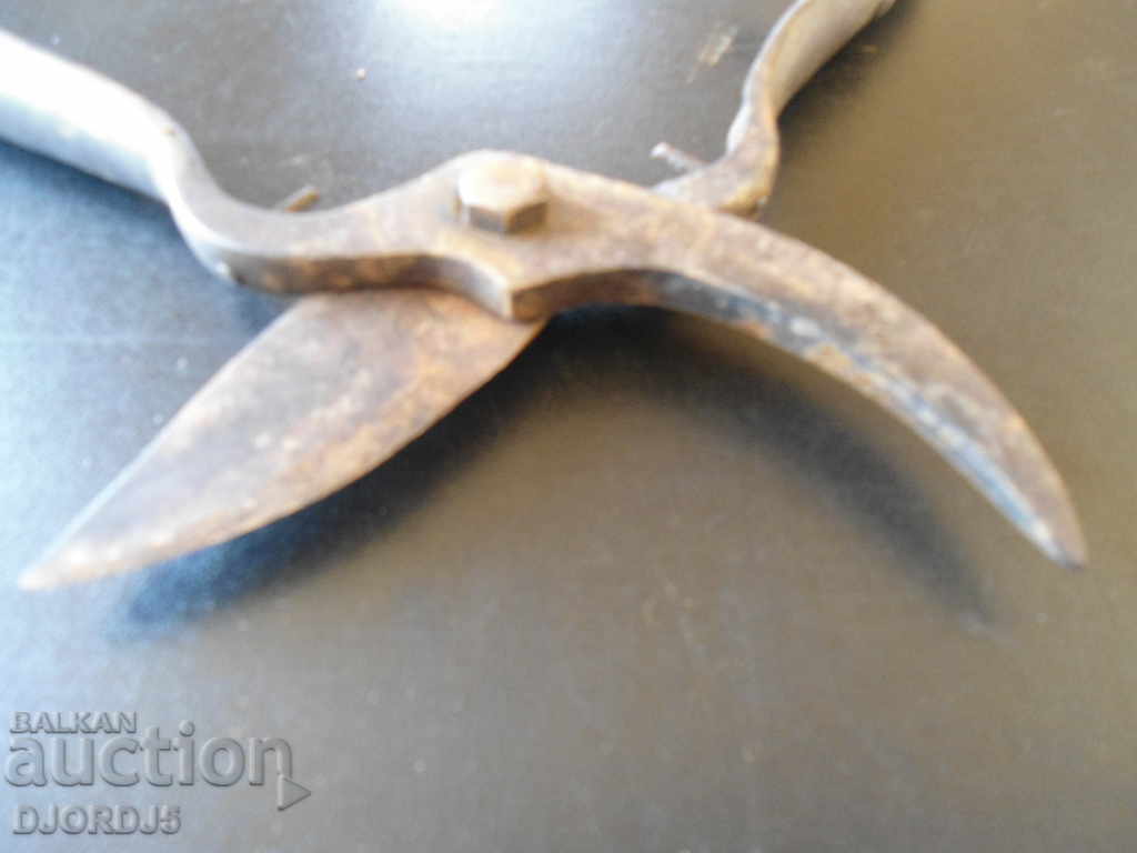 Delivery of Old viticulture scissors