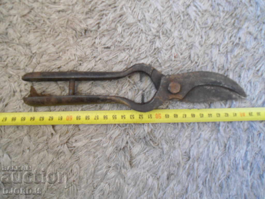 Old viticulture scissors - 5