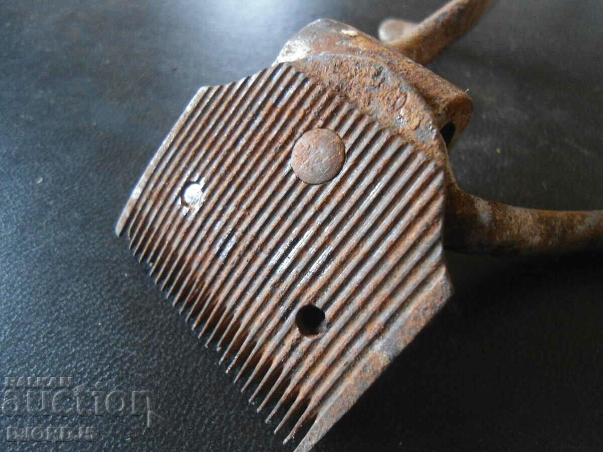 Auction Old clipper, marking Auction Old clipper, marking