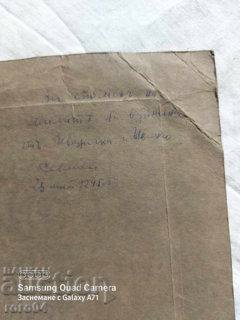 SEVLIEVO - NEWLYWEDS - 1924. - 6