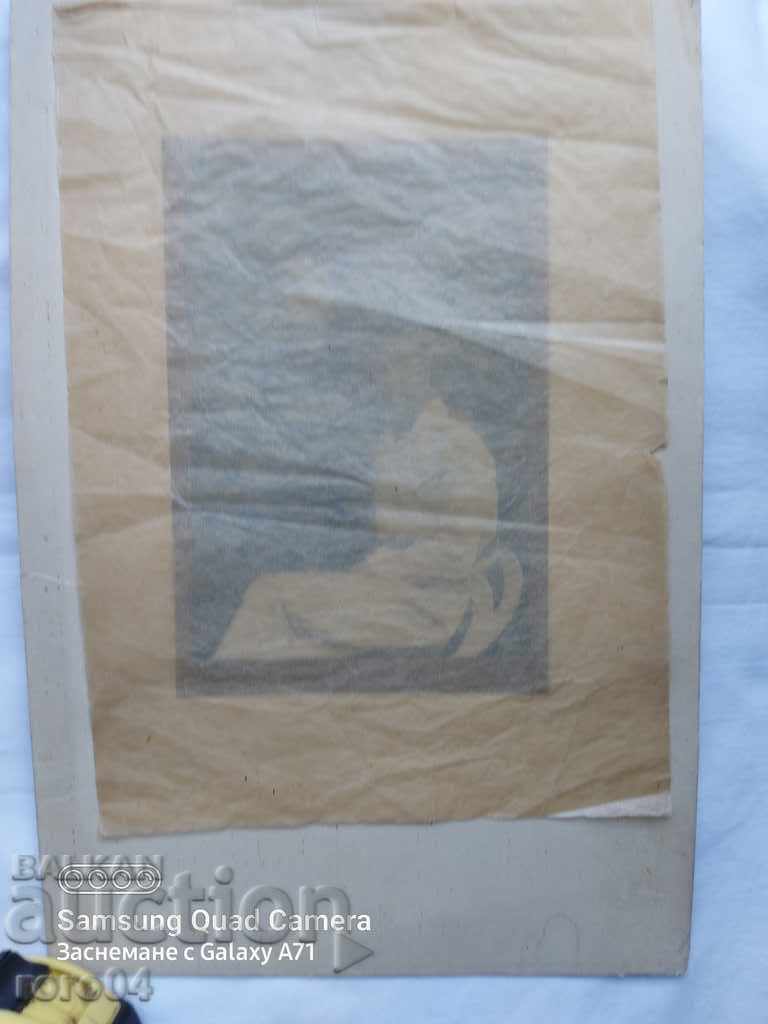 PHOTO G. KATSAROV - STARA ZAGORA - 5