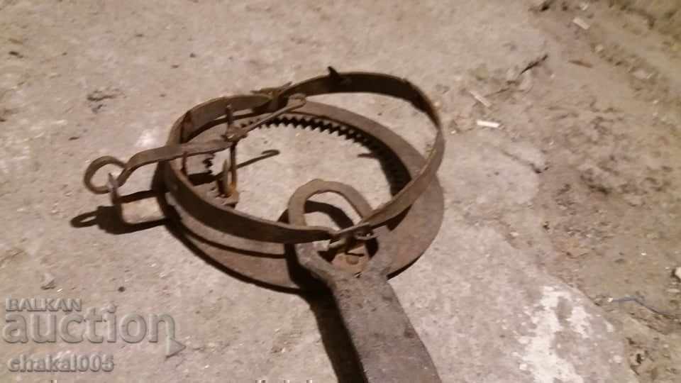 Delivery of A large trap for wolves and jackals