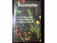 Βιβλίο "Βότανα στα καλλυντικά ....- Radost Spasova" - 100 σελίδες.