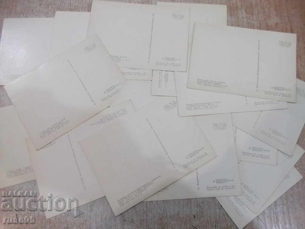 Lot of 16 pcs. cards "Painting of Ancient Egypt" from the USSR - 6