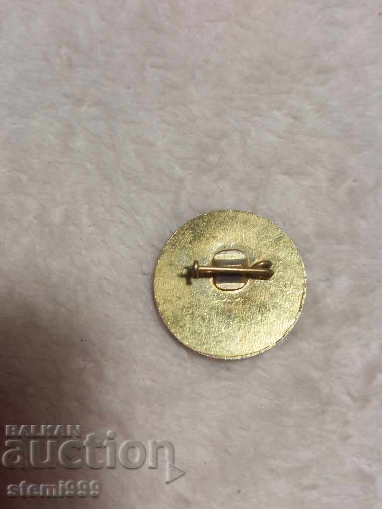 Аукцион Значка Спорт Аукцион Значка Спорт