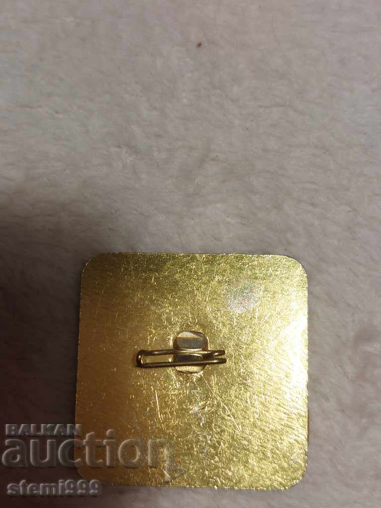 Delivery of Sport SKI Badge Delivery of Sport SKI Badge