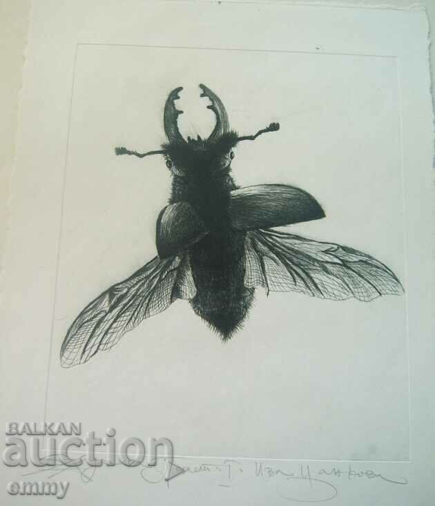 Drawing graphic "Flight I" Iva Tsankova 1996, drypoint with price 22.00 BGN | € 11.25 Drawing graphic "Flight I" Iva Tsankova 1996, drypoint with price 22.00 BGN | € 11.25