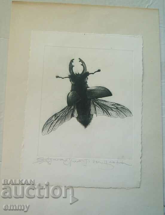 Desen grafic „Zborul I” Iva Tsankova 1996, vârf uscat