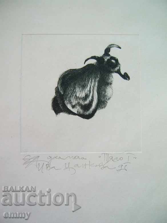 Graphic drawing "Body I" Iva Tsankova 1996, drypoint with price 22.00 BGN | € 11.25