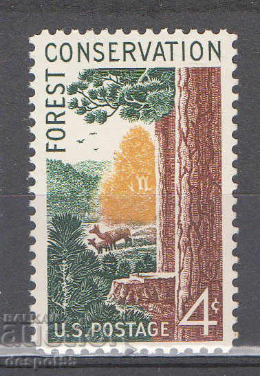 1958. SUA. Protecția pădurilor.