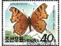 Клеймована марка Фауна Пеперуда 1991 от Северна Корея КНДР