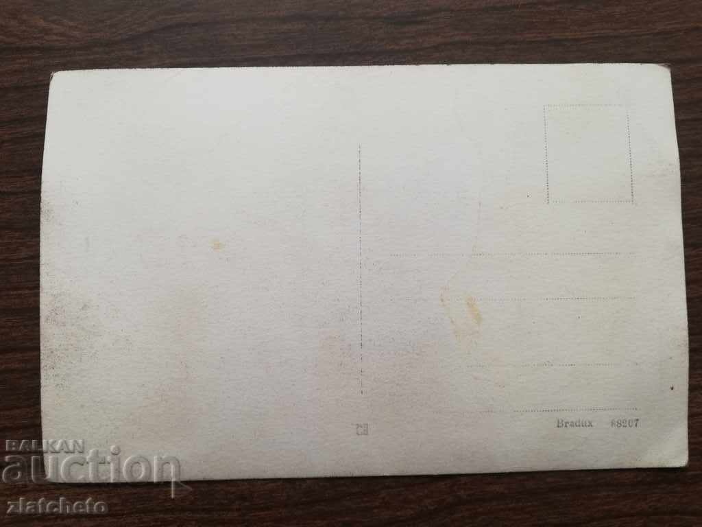 Licitație Vechea imagine - Licitație Vechea imagine -