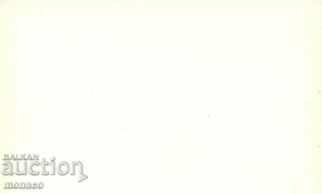 Old postcard - Tarnovo, View of the Yantra river with price 1.80 BGN | € 0.92