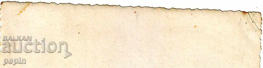 Фото -Няколко камили с цена 1.00 лв. | € 0.51 Фото -Няколко камили с цена 1.00 лв. | € 0.51